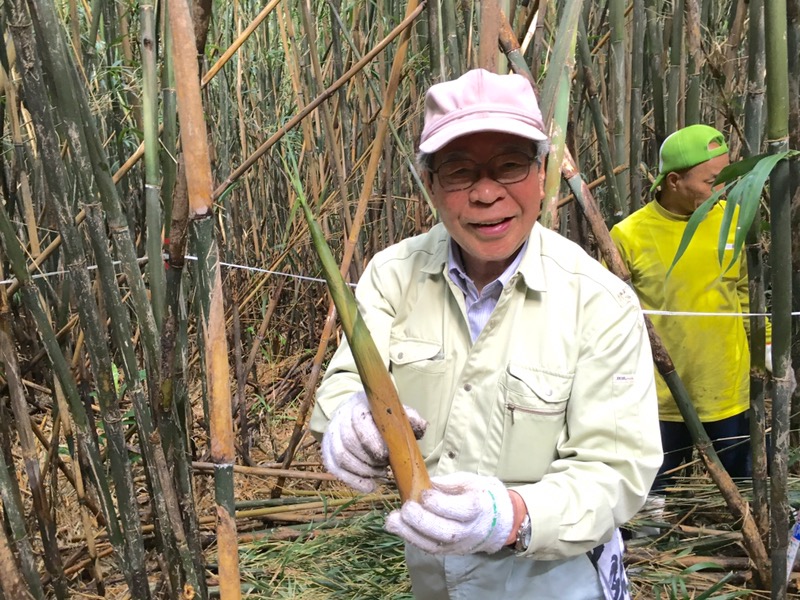 竹の専門家 濱田先生 調査で再来島！大名筍はこうやって生えている！