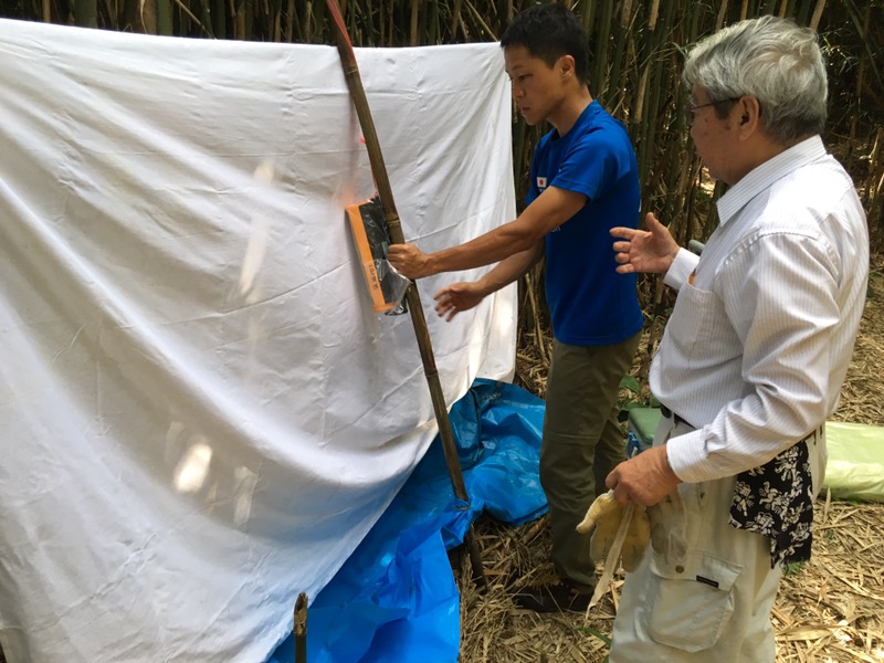大名筍の竹林にはびこる害虫の調査！