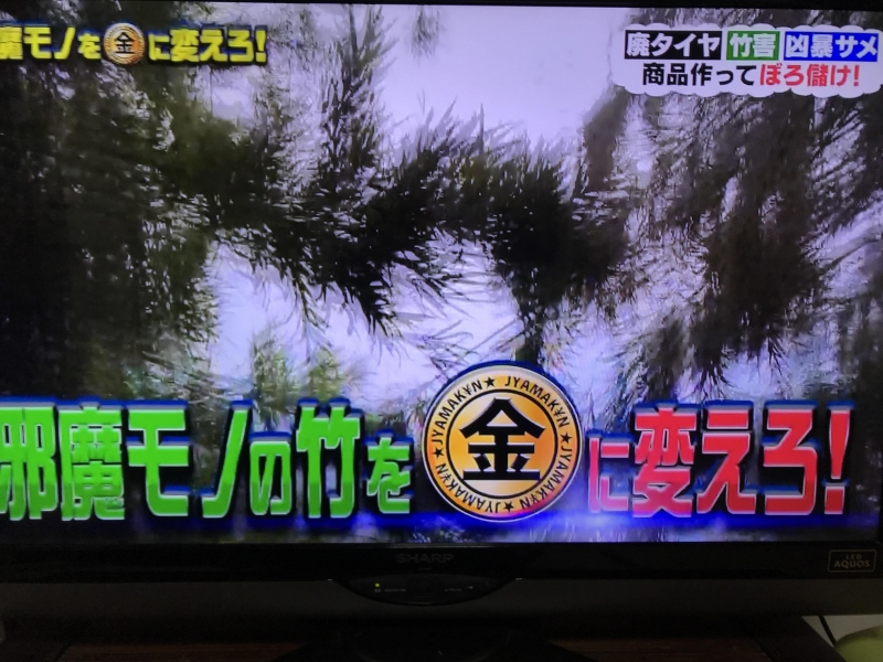 2018年12月21日 テレビ東京 ”ニッポンの邪魔モノをお金に変えろSP” に竹島登場